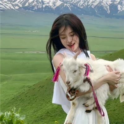 终止战火