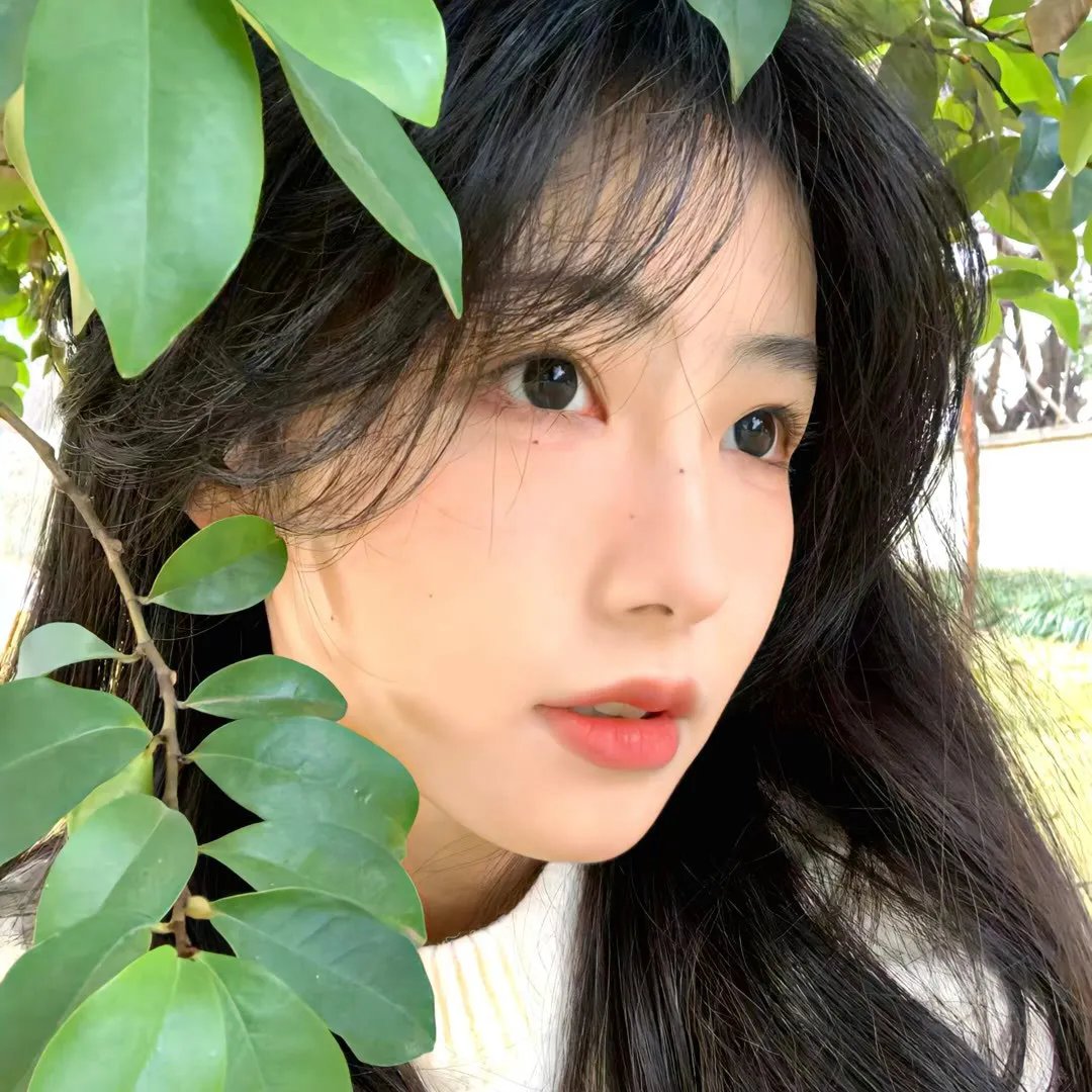 秘密关系台版