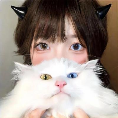 老虎连